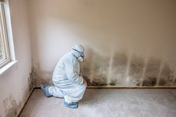 Best Crawl Space Mold Removal  in Rhome, TX